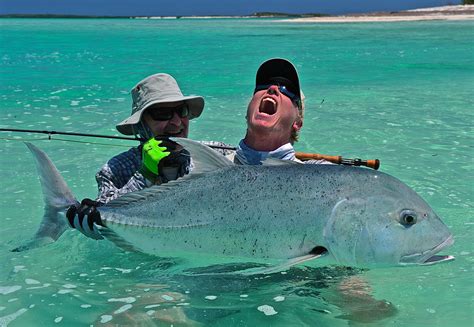 gt fish|Discover The Fascinating World Of G T Fish: Habitat, Diet .